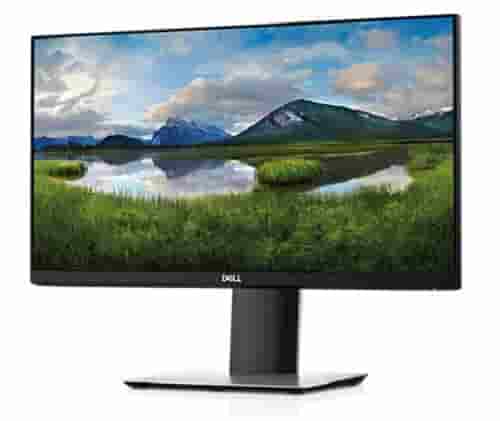 Dell P2219H